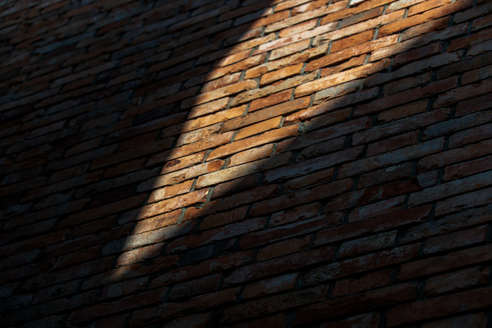 Sunlight on a brick wall